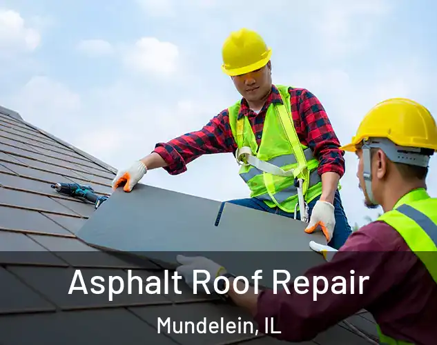  Asphalt Roof Repair Mundelein, IL
