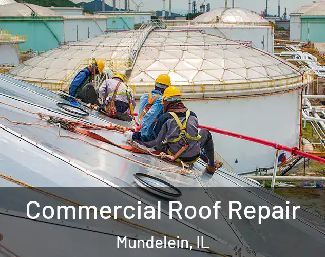  Commercial Roof Repair Mundelein, IL