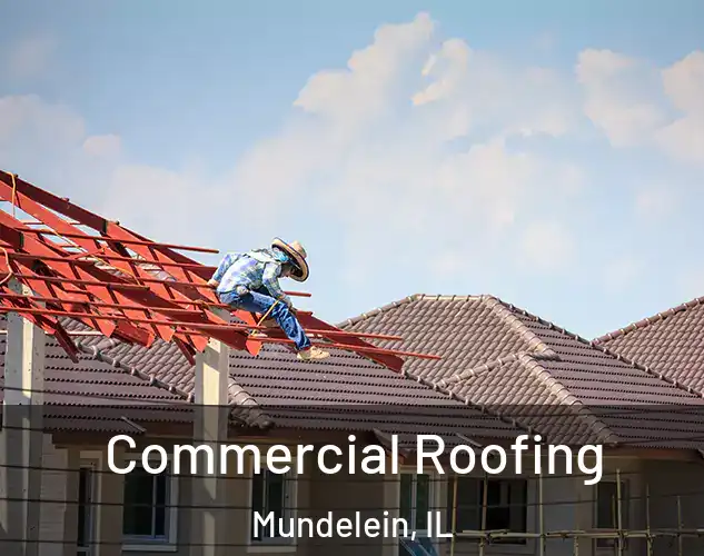  Commercial Roofing Mundelein, IL