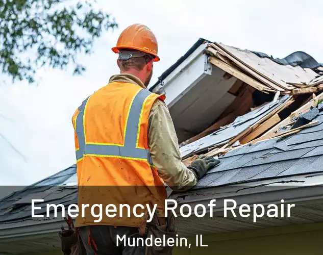  Emergency Roof Repair Mundelein, IL