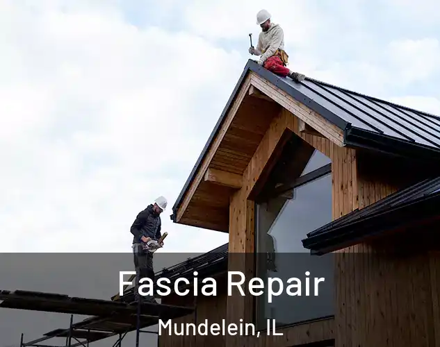  Fascia Repair Mundelein, IL