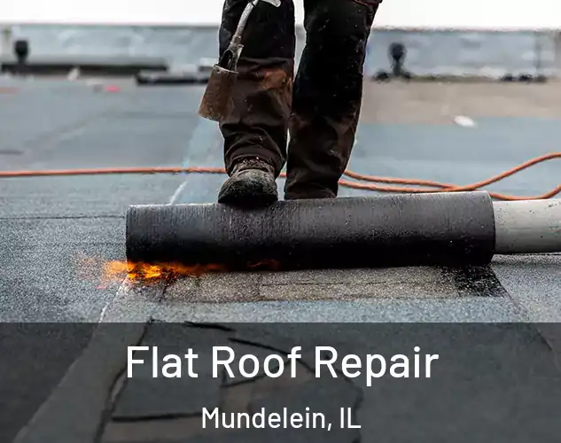  Flat Roof Repair Mundelein, IL
