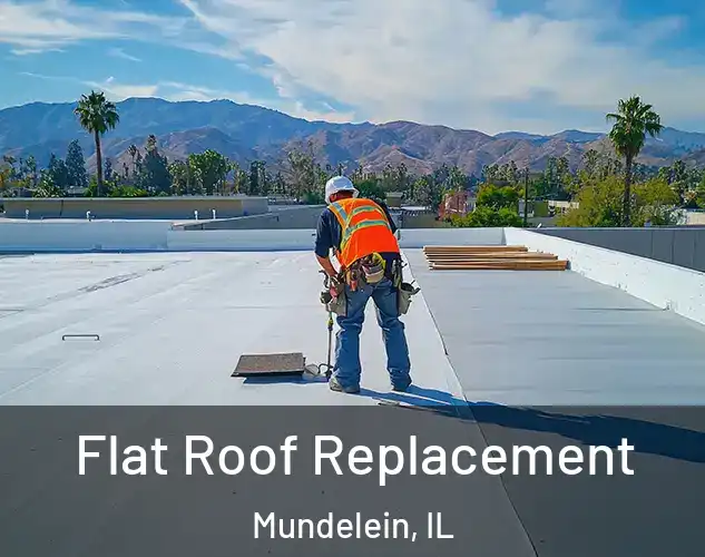  Flat Roof Replacement Mundelein, IL