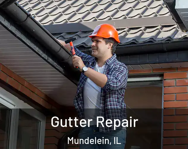  Gutter Repair Mundelein, IL