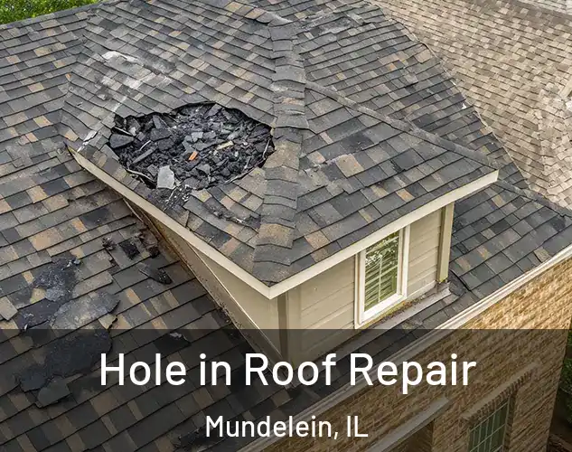  Hole in Roof Repair Mundelein, IL