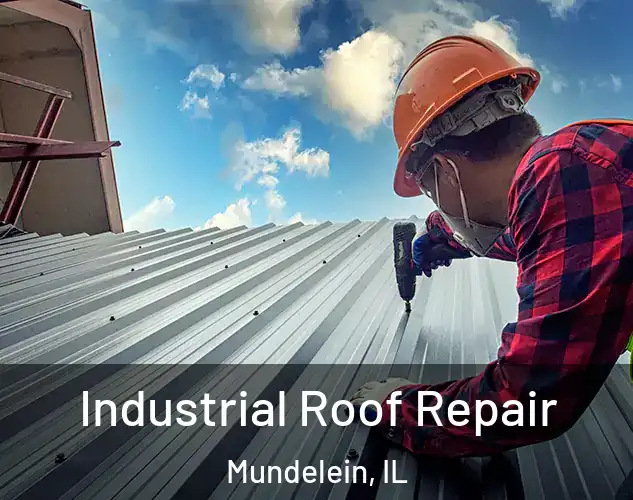  Industrial Roof Repair Mundelein, IL