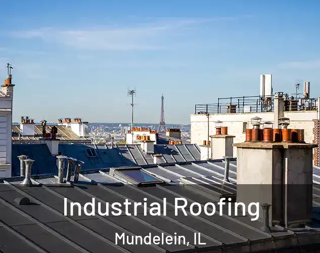  Industrial Roofing Mundelein, IL