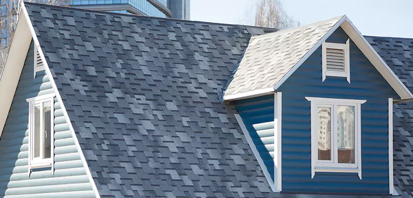 Shingle Roof Maintenance in Mundelein