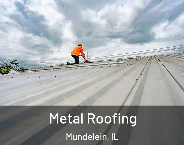  Metal Roofing Mundelein, IL