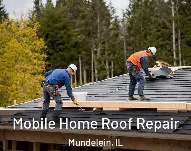  Mobile Home Roof Repair Mundelein, IL
