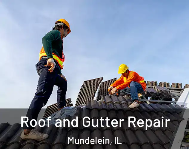  Roof and Gutter Repair Mundelein, IL