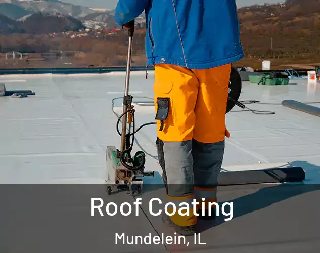  Roof Coating Mundelein, IL