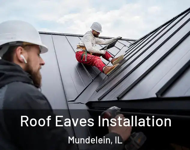  Roof Eaves Installation Mundelein, IL