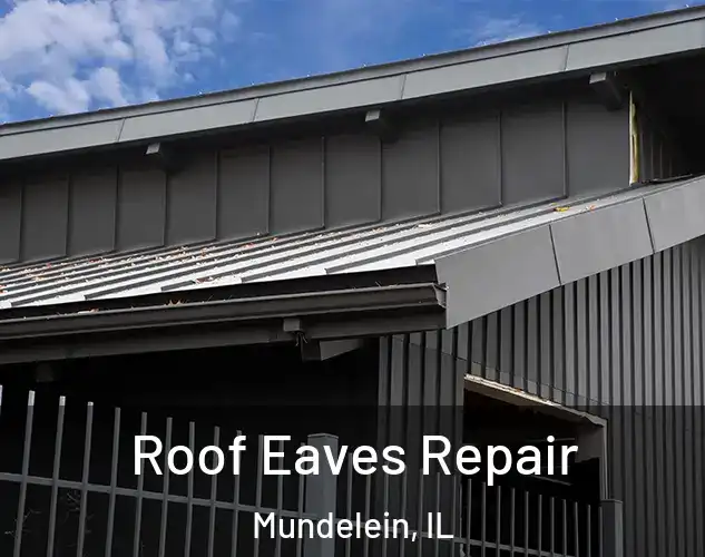  Roof Eaves Repair Mundelein, IL