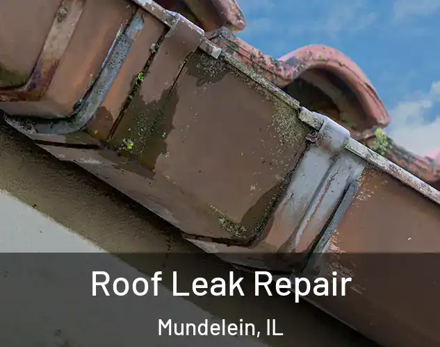  Roof Leak Repair Mundelein, IL