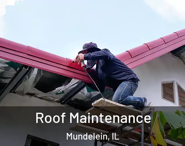  Roof Maintenance Mundelein, IL
