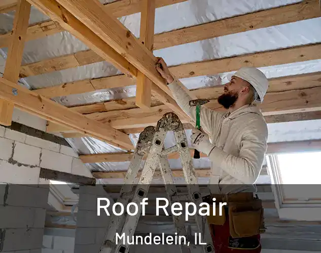  Roof Repair Mundelein, IL