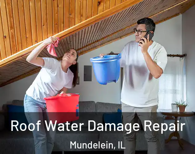  Roof Water Damage Repair Mundelein, IL