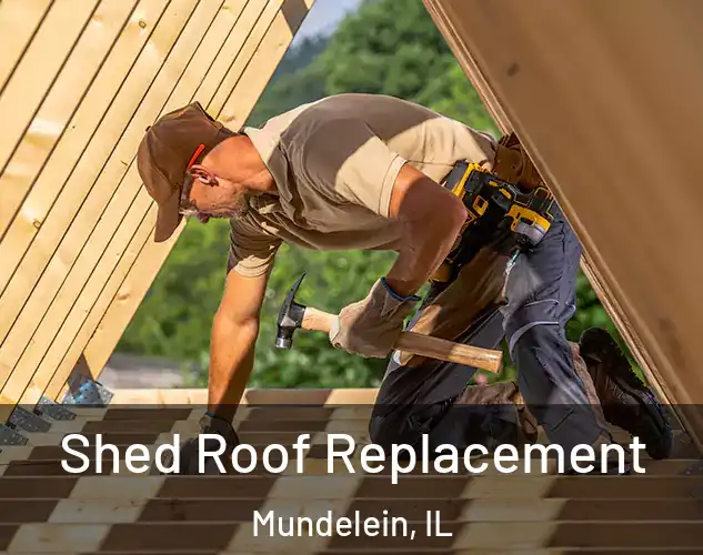  Shed Roof Replacement Mundelein, IL
