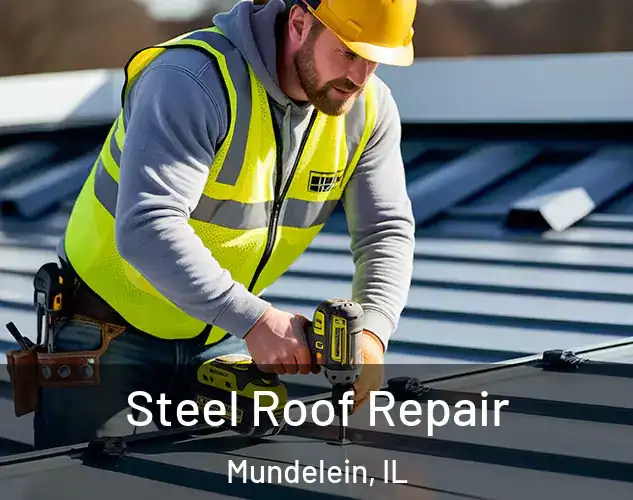  Steel Roof Repair Mundelein, IL