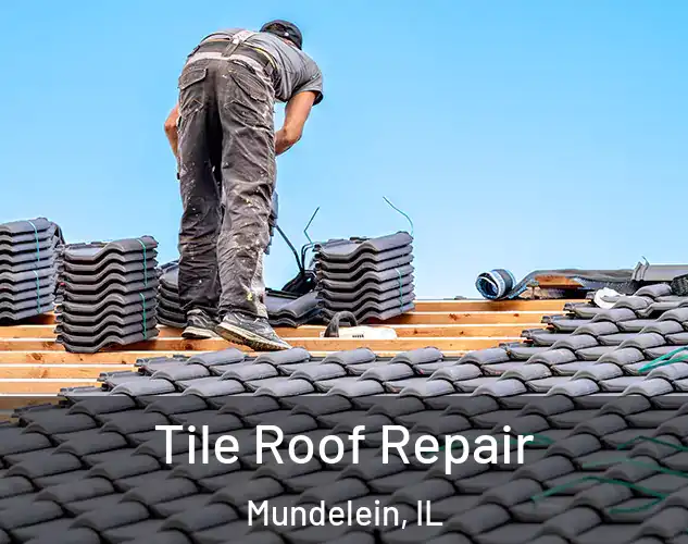  Tile Roof Repair Mundelein, IL