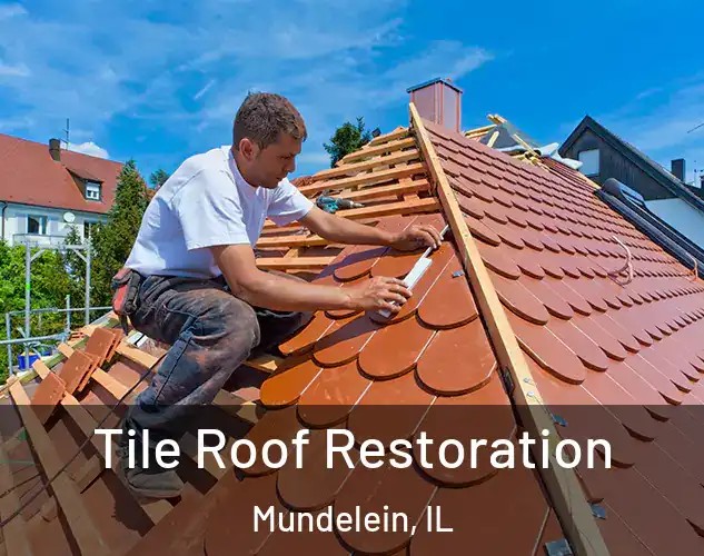  Tile Roof Restoration Mundelein, IL