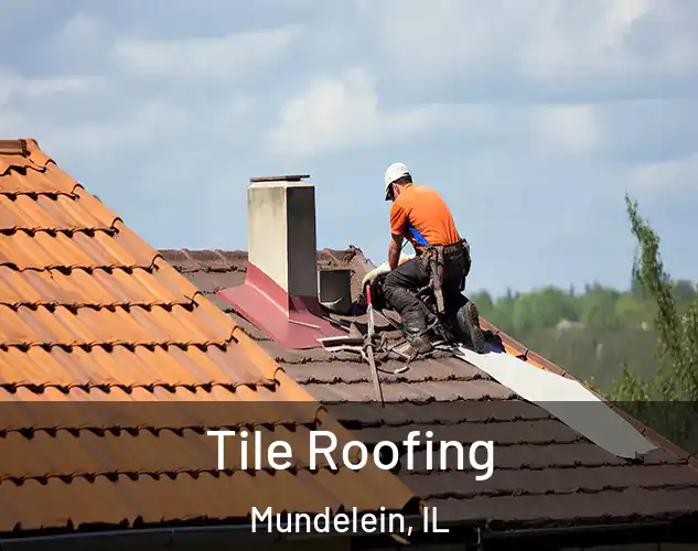  Tile Roofing Mundelein, IL