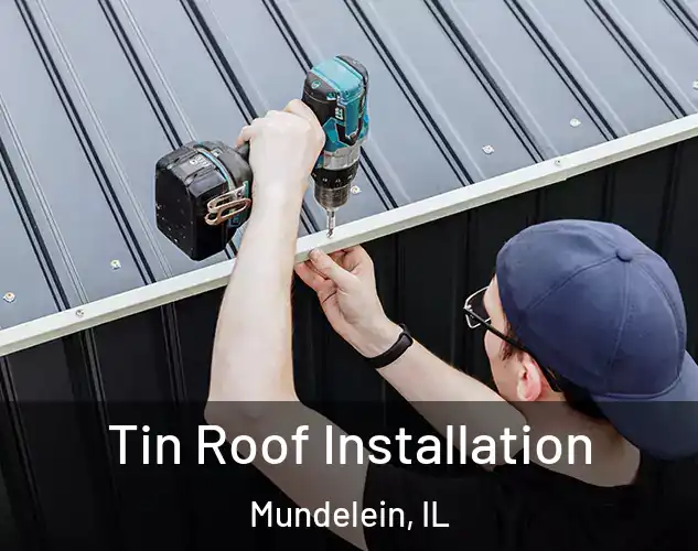  Tin Roof Installation Mundelein, IL