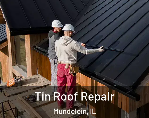  Tin Roof Repair Mundelein, IL